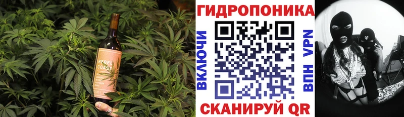 hydra   Ижевск  Canna-Cookies конопля 
