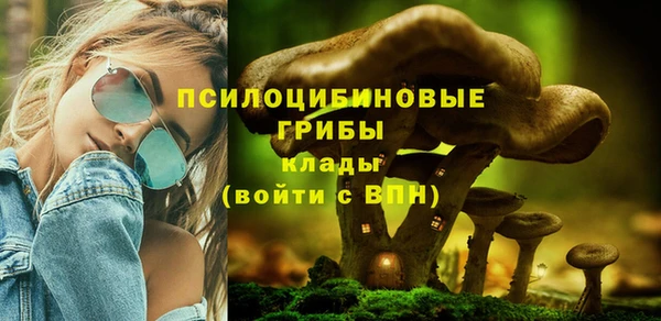 спайс Алексеевка
